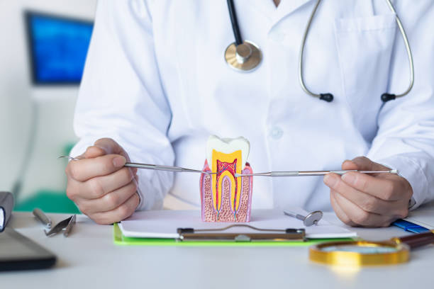 Best Emergency Broken Tooth Repair in Kenedy, TX